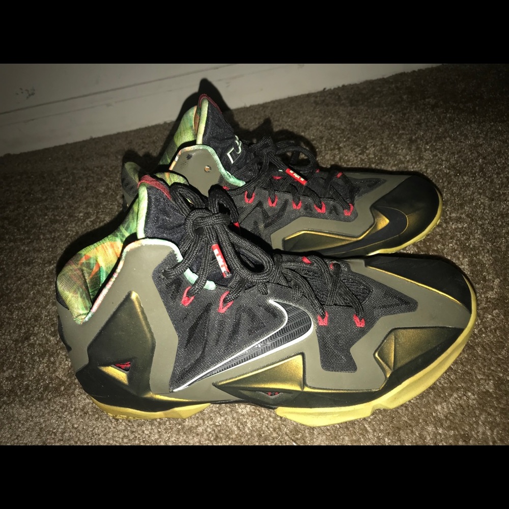 Nike Men’s Lebron XI “Kings Pride” Basketball Shoe